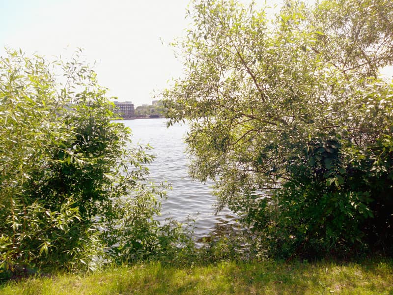 Ögonblick fångat med Smilo